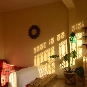 Homestay Pachamac House